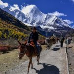 riding horse to Milk lake at Yading Nature Reserve